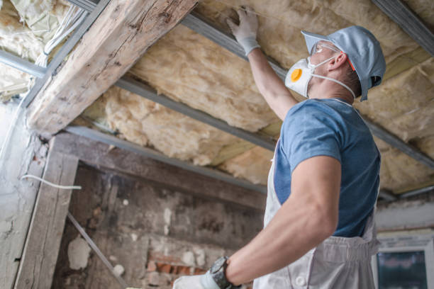 Best Residential Insulation in Abbeville, SC